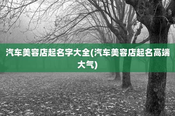 汽车美容店起名字大全(汽车美容店起名高端大气)