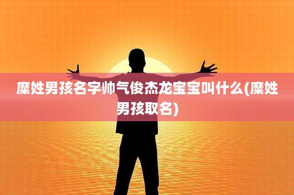 糜姓男孩名字帅气俊杰龙宝宝叫什么(糜姓男孩取名)