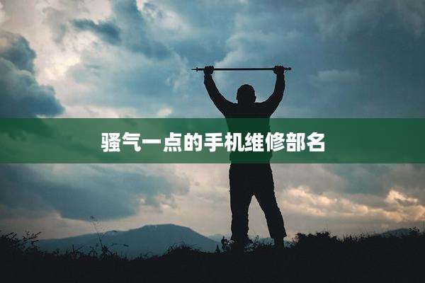 骚气一点的手机维修部名