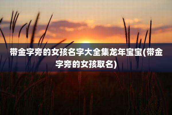 带金字旁的女孩名字大全集龙年宝宝(带金字旁的女孩取名)