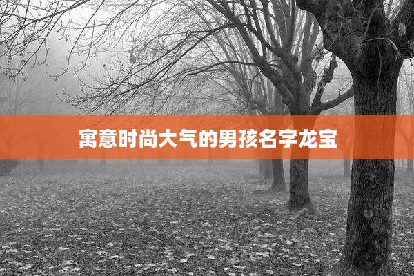 寓意时尚大气的男孩名字龙宝