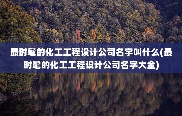最时髦的化工工程设计公司名字叫什么(最时髦的化工工程设计公司名字大全)