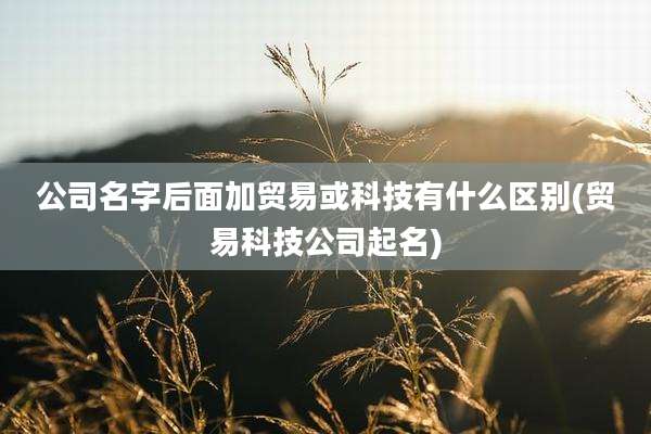公司名字后面加贸易或科技有什么区别(贸易科技公司起名)