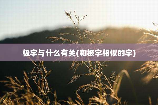 极字与什么有关(和极字相似的字)