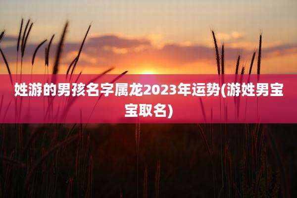 姓游的男孩名字属龙2023年运势(游姓男宝宝取名)