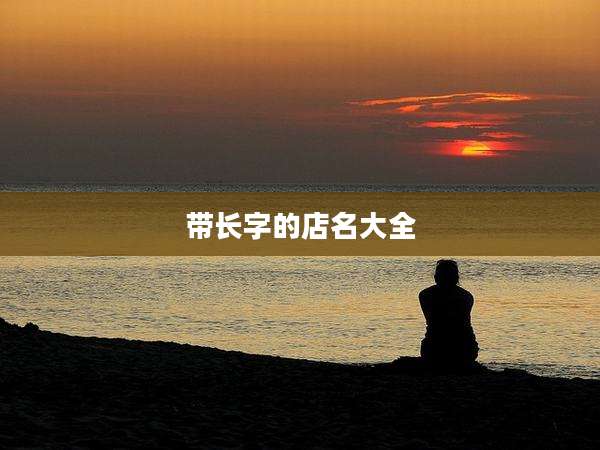 带长字的店名大全