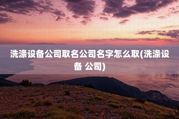 洗涤设备公司取名公司名字怎么取(洗涤设备 公司)