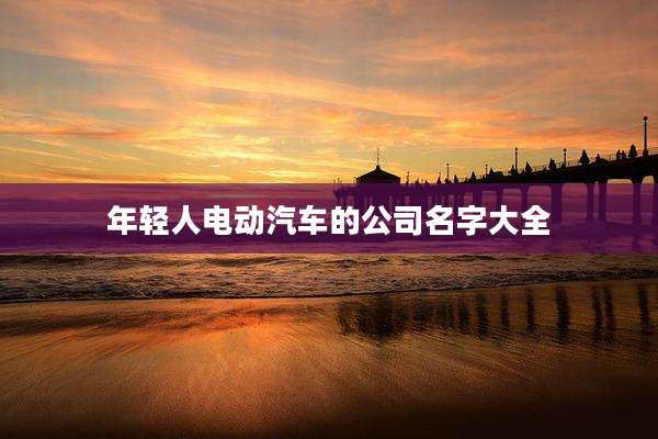 年轻人电动汽车的公司名字大全