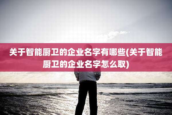 关于智能厨卫的企业名字有哪些(关于智能厨卫的企业名字怎么取)