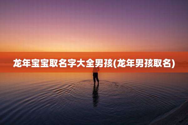 龙年宝宝取名字大全男孩(龙年男孩取名)