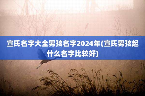 宣氏名字大全男孩名字2024年(宣氏男孩起什么名字比较好)