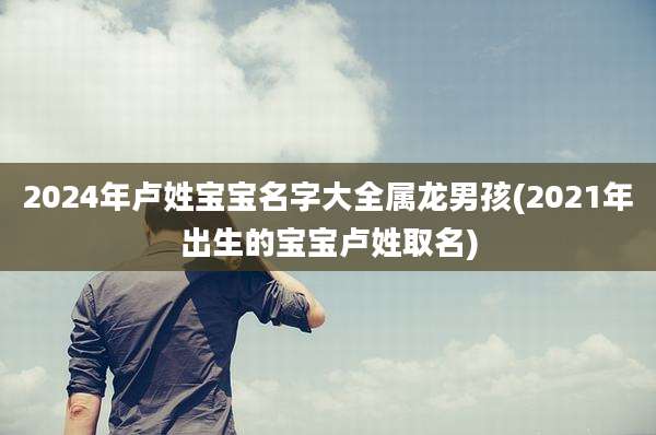 2024年卢姓宝宝名字大全属龙男孩(2021年出生的宝宝卢姓取名)