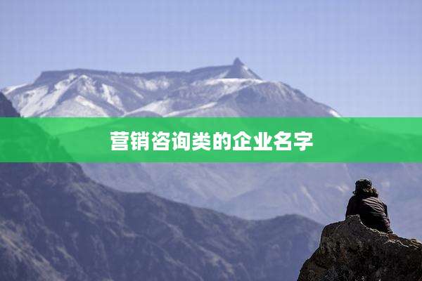 营销咨询类的企业名字