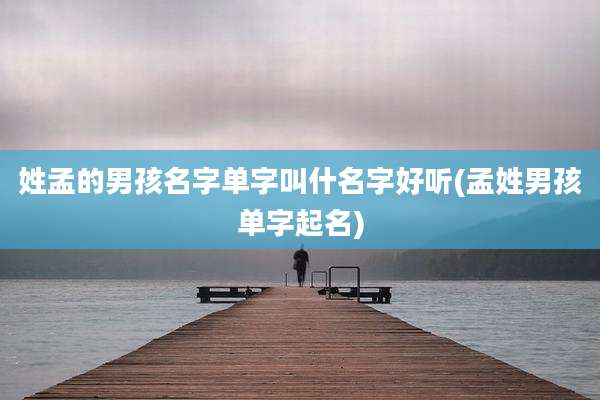 姓孟的男孩名字单字叫什名字好听(孟姓男孩单字起名)