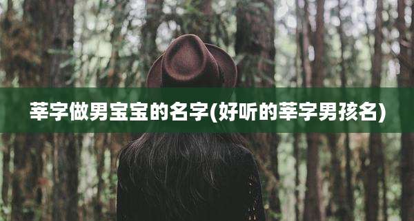莘字做男宝宝的名字(好听的莘字男孩名)