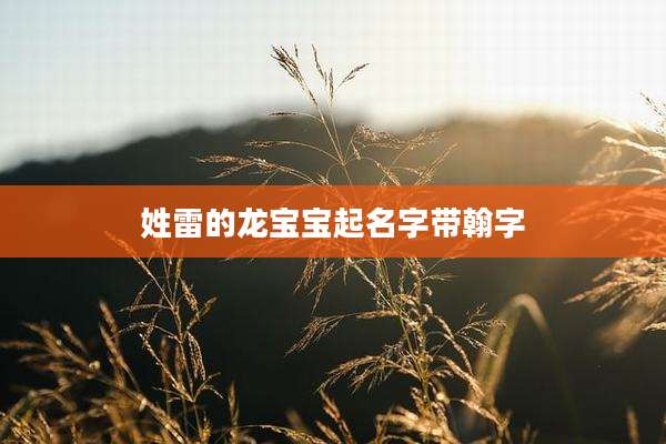 姓雷的龙宝宝起名字带翰字