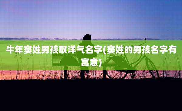 牛年窦姓男孩取洋气名字(窦姓的男孩名字有寓意)