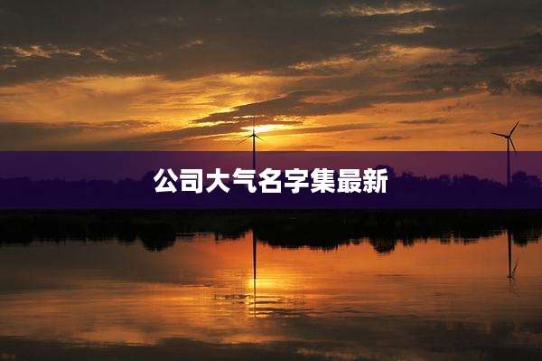 公司大气名字集最新