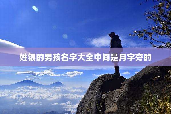 姓银的男孩名字大全中间是月字旁的