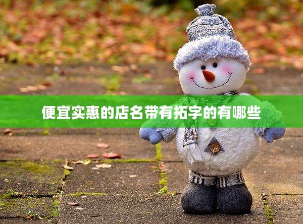 便宜实惠的店名带有拓字的有哪些