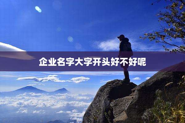 企业名字大字开头好不好呢