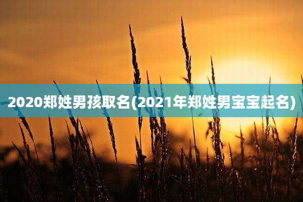 2020郑姓男孩取名(2021年郑姓男宝宝起名)