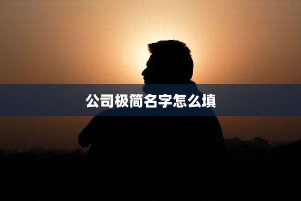 公司极简名字怎么填