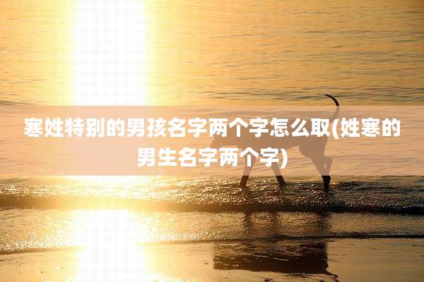寒姓特别的男孩名字两个字怎么取(姓寒的男生名字两个字)