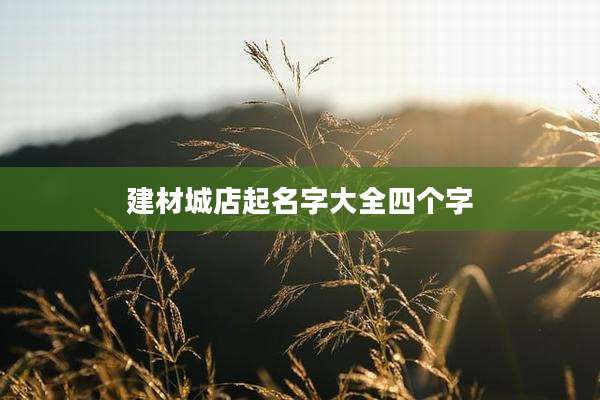 建材城店起名字大全四个字