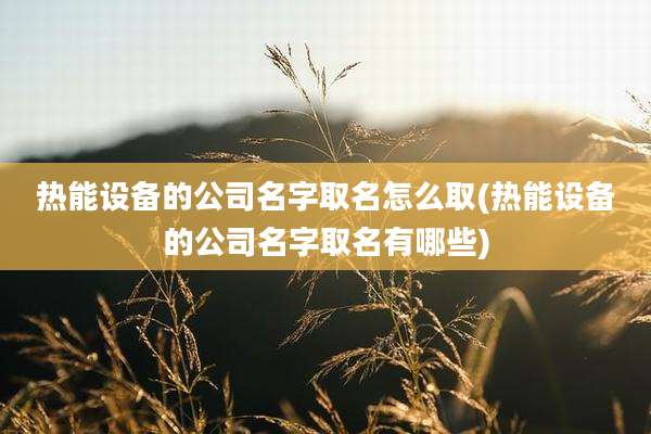 热能设备的公司名字取名怎么取(热能设备的公司名字取名有哪些)