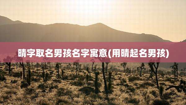 晴字取名男孩名字寓意(用晴起名男孩)