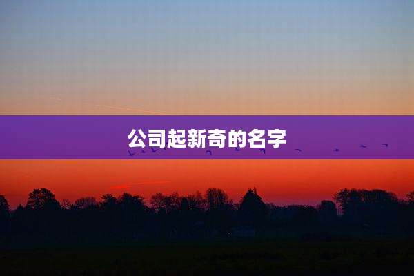 公司起新奇的名字