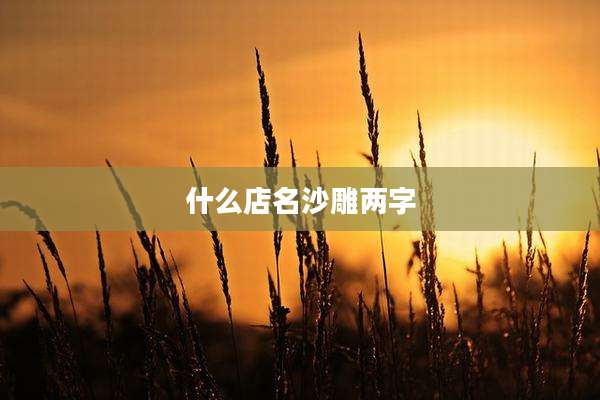 什么店名沙雕两字