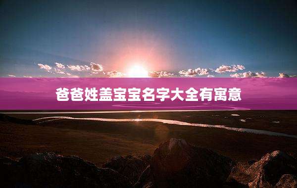 爸爸姓盖宝宝名字大全有寓意