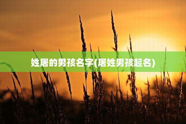 姓屠的男孩名字(屠姓男孩起名)