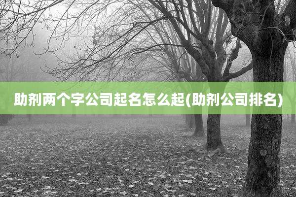 助剂两个字公司起名怎么起(助剂公司排名)