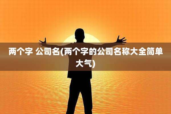 两个字 公司名(两个字的公司名称大全简单大气)