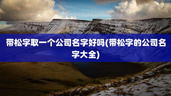 带松字取一个公司名字好吗(带松字的公司名字大全)