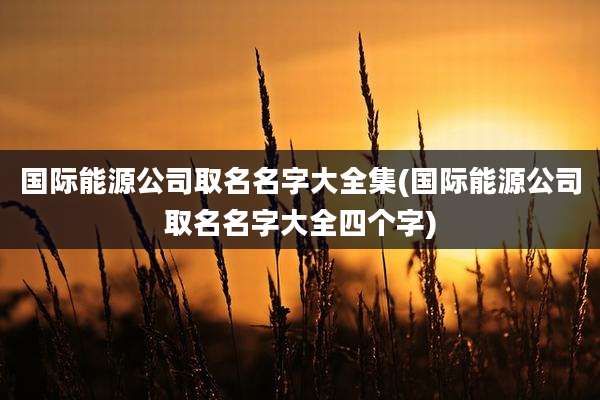 国际能源公司取名名字大全集(国际能源公司取名名字大全四个字)