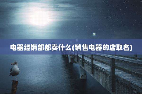 电器经销部都卖什么(销售电器的店取名)