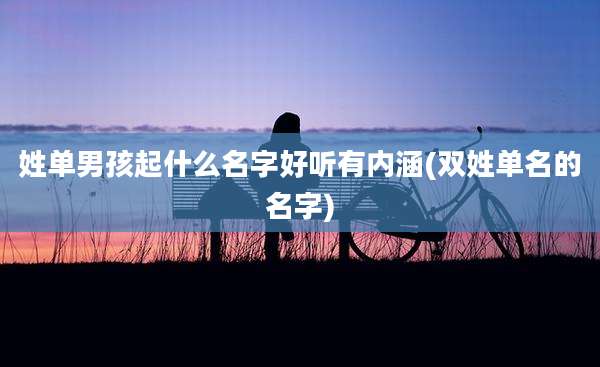 姓单男孩起什么名字好听有内涵(双姓单名的名字)