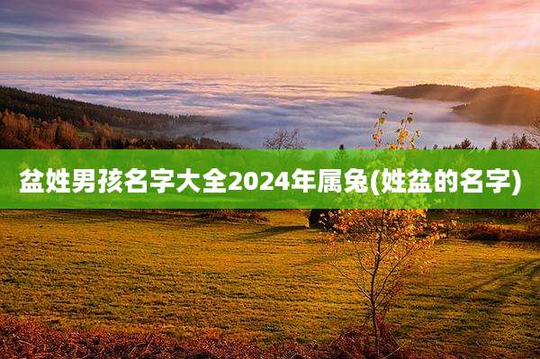 盆姓男孩名字大全2024年属兔(姓盆的名字)