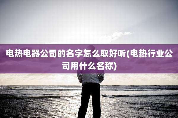 电热电器公司的名字怎么取好听(电热行业公司用什么名称)