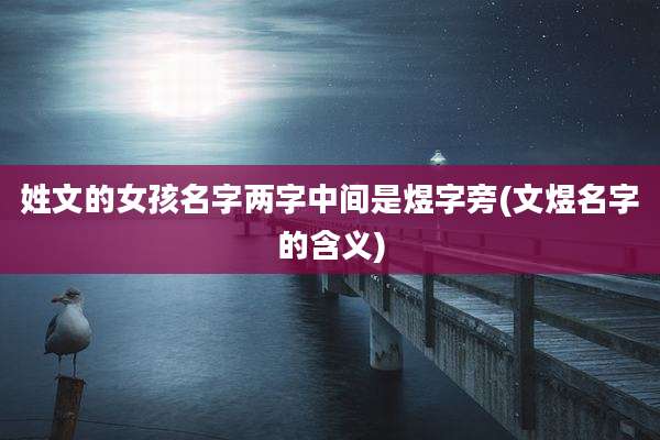 姓文的女孩名字两字中间是煜字旁(文煜名字的含义)