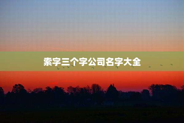 索字三个字公司名字大全
