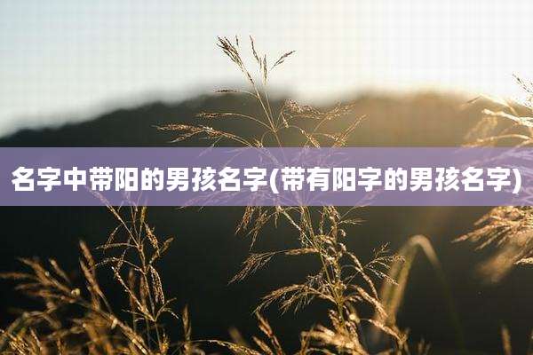 名字中带阳的男孩名字(带有阳字的男孩名字)