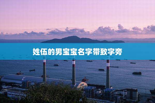 姓伍的男宝宝名字带致字旁