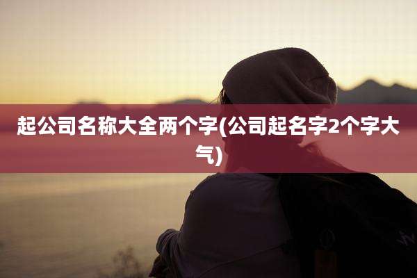 起公司名称大全两个字(公司起名字2个字大气)