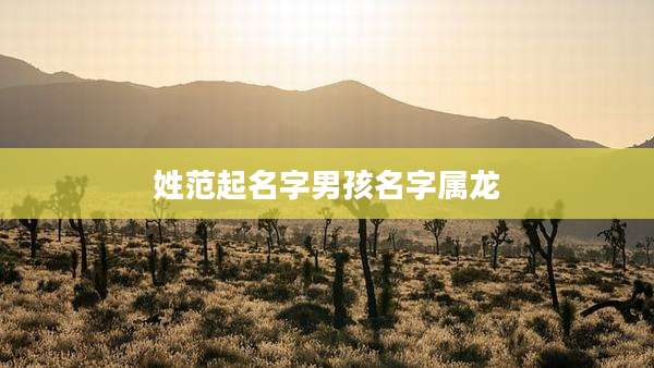 姓范起名字男孩名字属龙