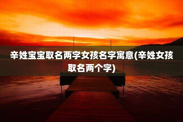 辛姓宝宝取名两字女孩名字寓意(辛姓女孩取名两个字)
